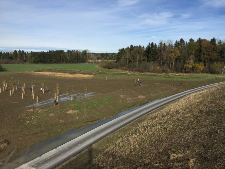 Foto_1_Pflanzung_westlich_Absperrdamm