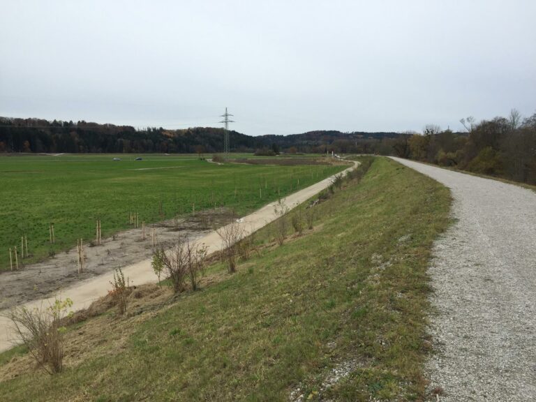 Foto_3_Pflanzung_Trenndeich_Abschnitt_7West_1