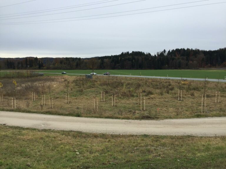 Foto_4_Pflanzung_Trenndeich_Abschnitt_7West_3